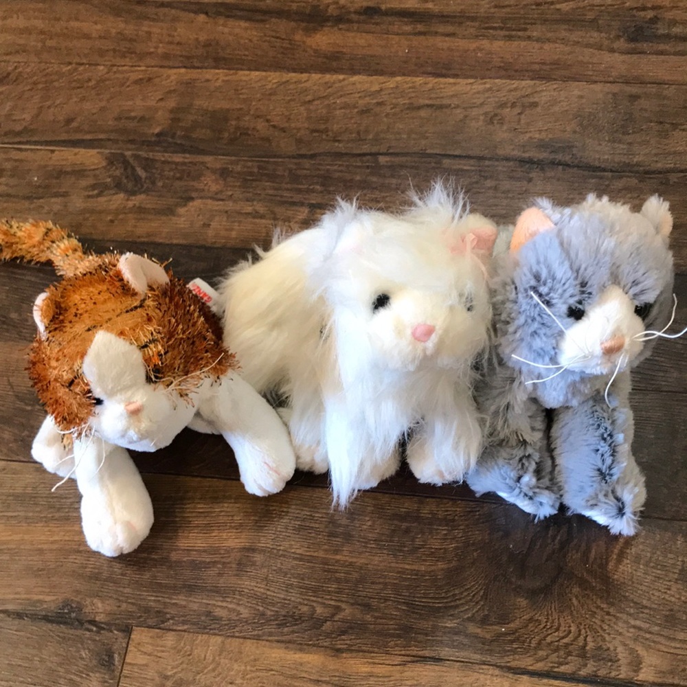 Three webkinz cats